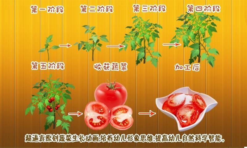 宝宝种蔬菜1游戏