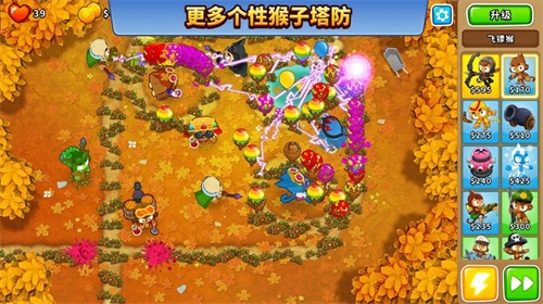 Bloons Td6安卓版图3