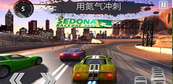 拉力赛狂怒3D V1.0.4 安卓版