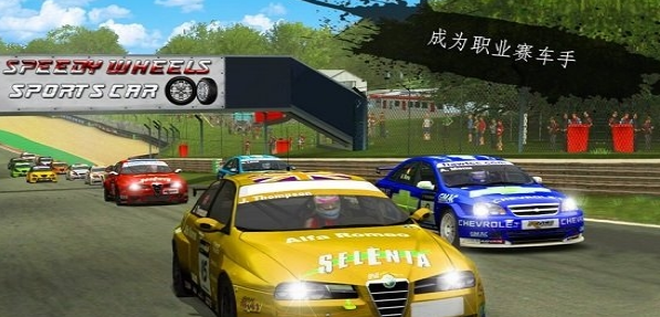 拉力赛狂怒3D V1.0.4 安卓版