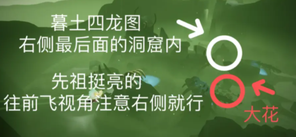 光遇6月20日每日任务怎么完成 6月20日每日任务完成攻略图3