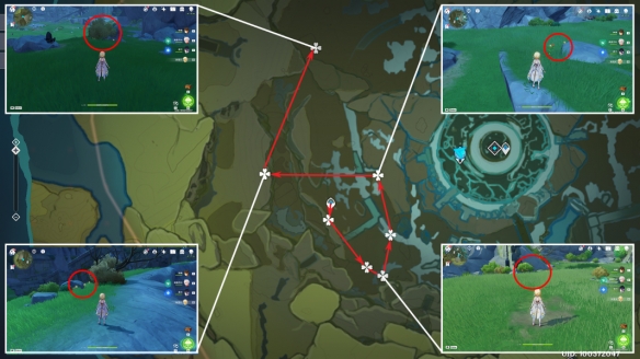原神3.8风车菊怎么收集 3.8风车菊收集路线一览图5