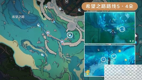 原神海露花采集路线一览图12