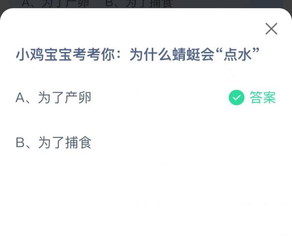 为什么蜻蜓会点水图1