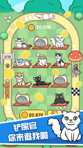 跑跑云养猫最新版